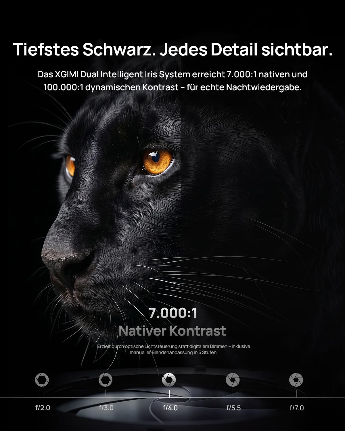 XGIMI Titan Noir. Der neue professionelle 4K-Dual-Laser-Projektor mit 4800 Lumen! 3D!