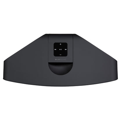 Bluesound Pulse 2i. Portabler, flexibler, großer Spitzen-Streaminglautsprecher mit 150 Watt. #3