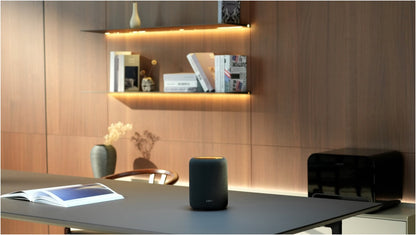 WiiM Sound Lite. Doppelpack. Klangstarker, kabelloser Minilautsprecher. Einzeln, paarweise oder als Rear für WiiM Soundbar!